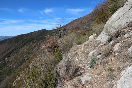 Lors de la traversée à flanc, dans le rétro.