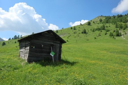 Seconde cabane