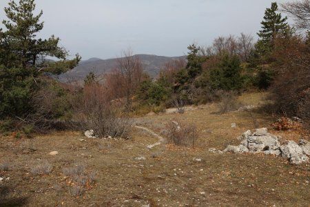 On traverse de belles prairies.