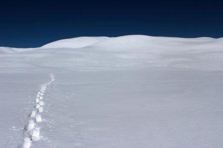 Immensités blanches