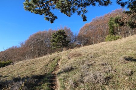 L’agréable sentier menant sur la crête.