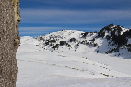 La Plaine de la Queyrie