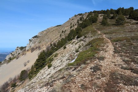 La descente de la crête dans le rétro, juste à l’intersection avec le GR.