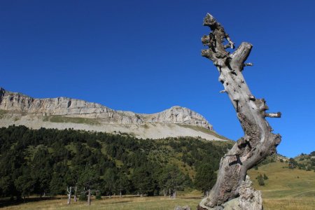 Du vallon de Combeau, vue sur la Montagnette