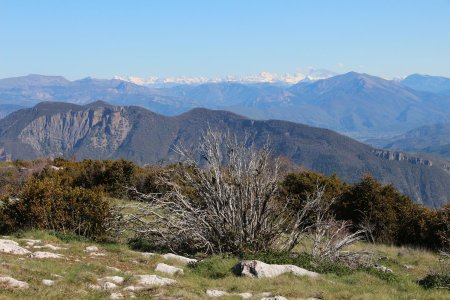 Les Écrins entre les Monges et le Blayeul.