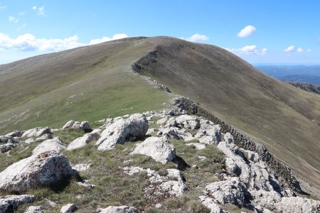 Dans le rétro.