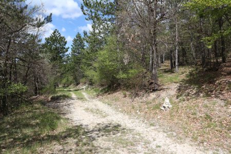 Une fois la piste du bas rejointe, le sentier est indiqué par cairn.