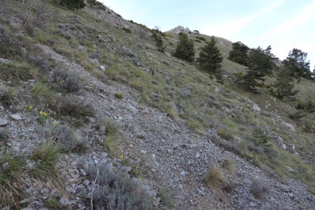 Remontée des dernières pentes herbeuses avant l’étage supérieur.