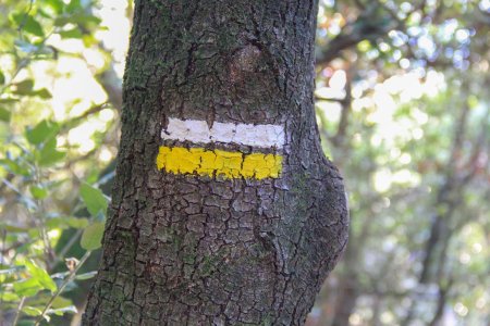 A partir du belvédère, suivre les traces jaunes et blanches.