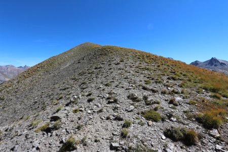 Aller-retour à la bosse cotée 2623m.