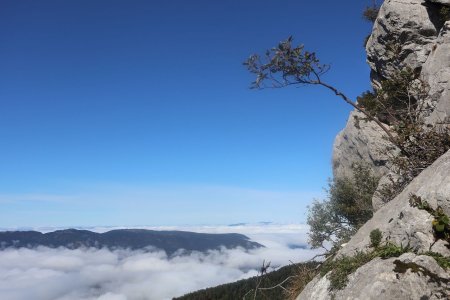 Montagne de Bange