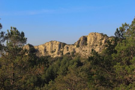 Décor caractéristiques des Alpilles