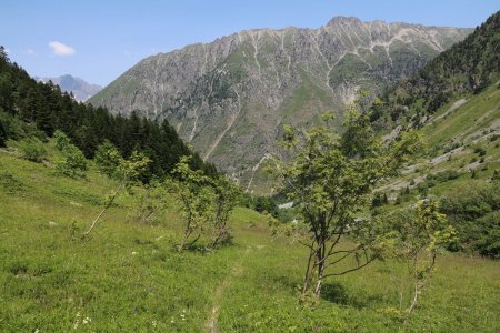 Dans les lacets du sentier.