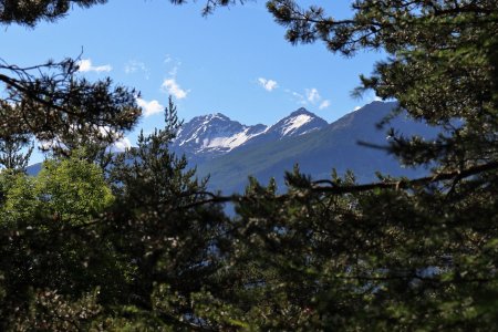 Mont Tailland et Pic St André entre deux branches