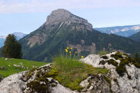 Chamechaude