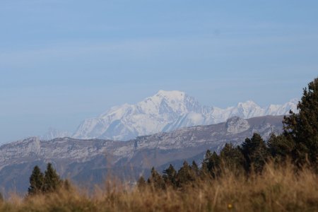 Mont Blanc 