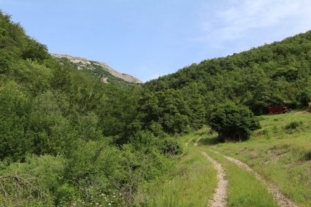 Début de la montée au col de Coucourdet.