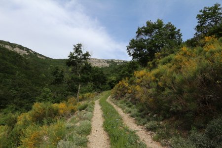 Montée au col de Coucourdet.