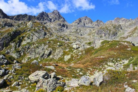 Beau secteur encore préservé