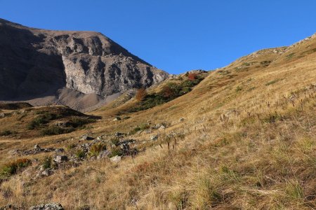 On débouche dans l’alpage.