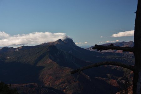 Vue au Sud : Mon Couar ! 