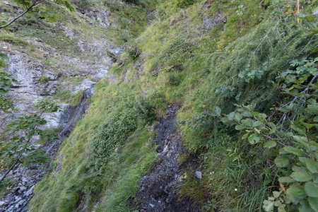 Une portion humide et délicate à traverser.