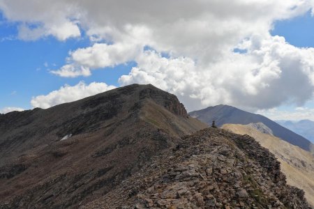 Cairn et Grande Épervière