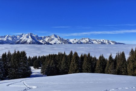 Belledonne