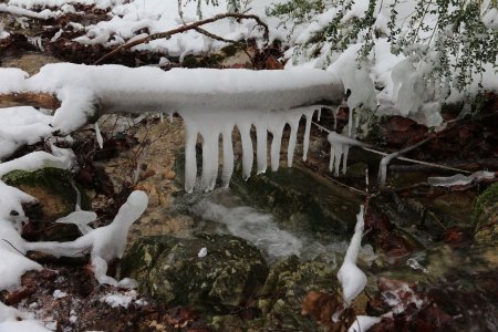 Sculptures de gel dans le ruisseau des Côtes...