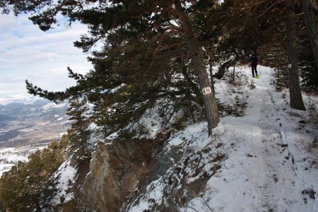 Crête nord boisée