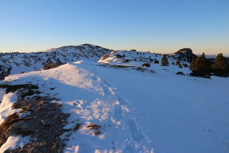 Vers le Sommet de Montaveilla dans le rétro.