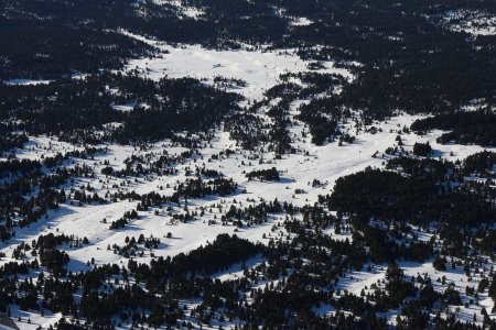 Cherchez la Grande Cabane !