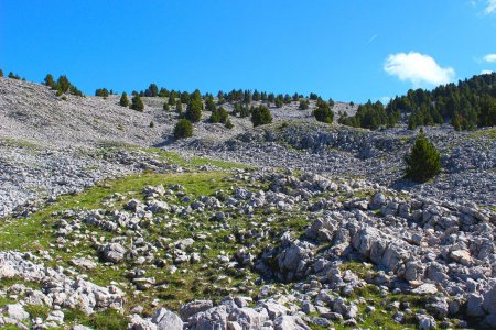 Parcours plus minéral au-dessus de la bergerie de Peyre Rouge