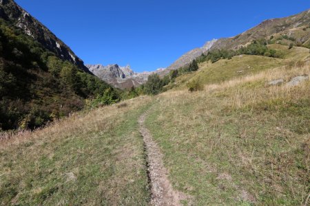 Montée par la combe du Tépey.