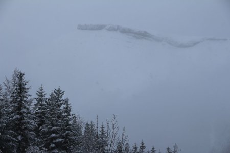 La Roche se dévoile...