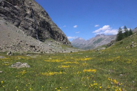 Vers le Plan de l’Alpe