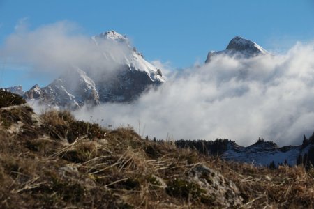 Ça souffle sur les Garnesiers !