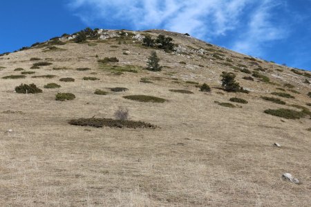 La descente du sommet principal dans le rétro.