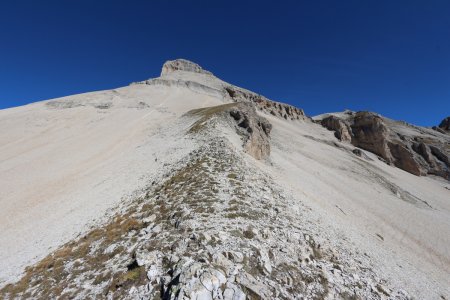 Montée au dernier espace de pelouse avant le final.