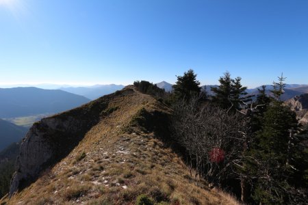 Suite de la crête.