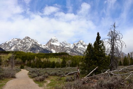 Taggart Lake Trail