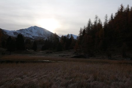 Le soleil se pointe timidement.