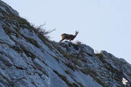 Le propriétaire des lieux