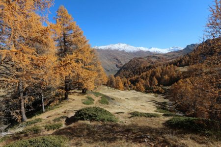 Descente par le vallon de Lamaron.