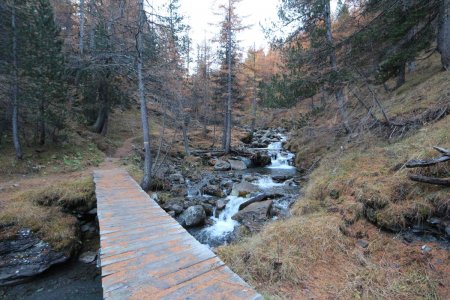 À l’aube, la passerelle vers la rive droite du torrent d’Urine.