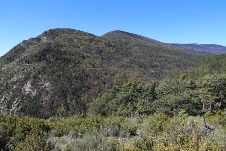 Chabreyret, les crêtes de Saint-Apôtre et de la Longeagne.