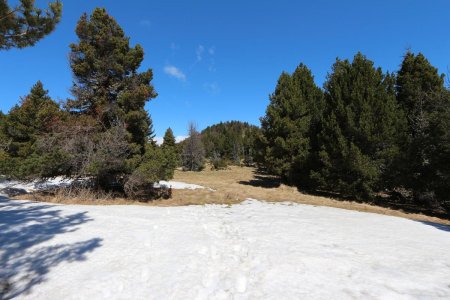 Au col coté 1721m.