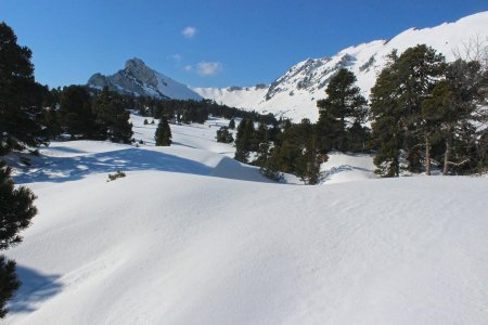 Dans le vallon de Marcieu