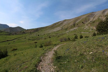 Sentier dans les alpages.