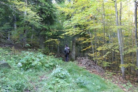 Sur le sentier du col du Pendu.